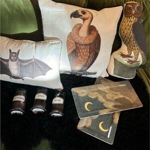 SPOOKY SEASON John Derian Halloween lot